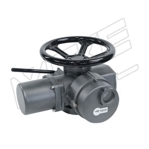 Multi-turn Electric Actuator